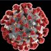 Representación gráfica del coronavirus covid19 (fuente: CDC/ Alissa Eckert, MS; Dan Higgins, MAM)